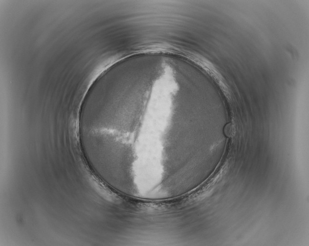 X0000112101234200909011118