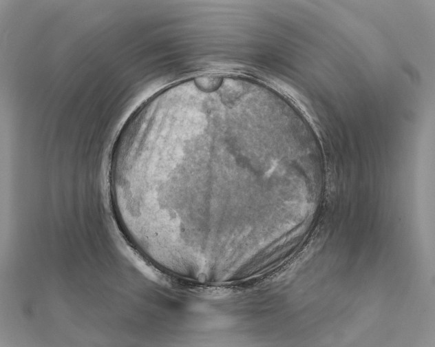 X0000112101235200909011118