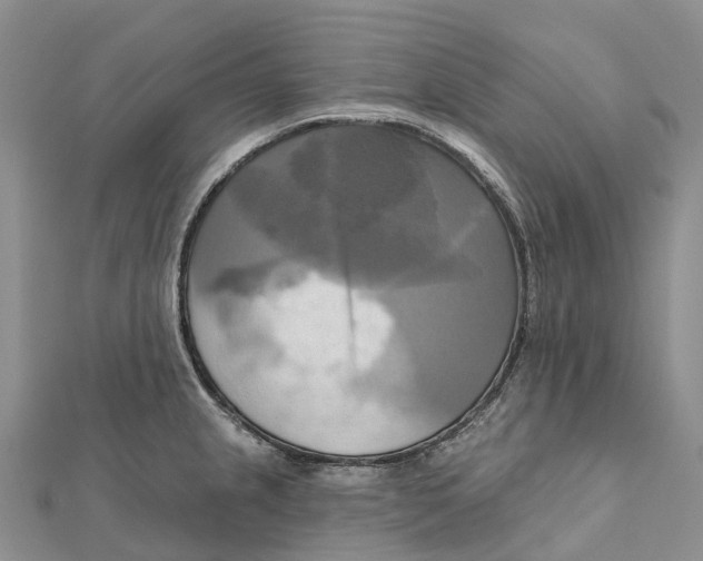 X0000112101237200909011118