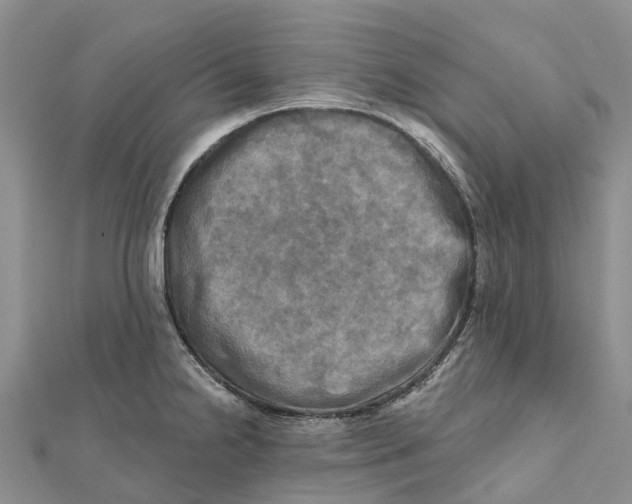 X0000112101238200909011118