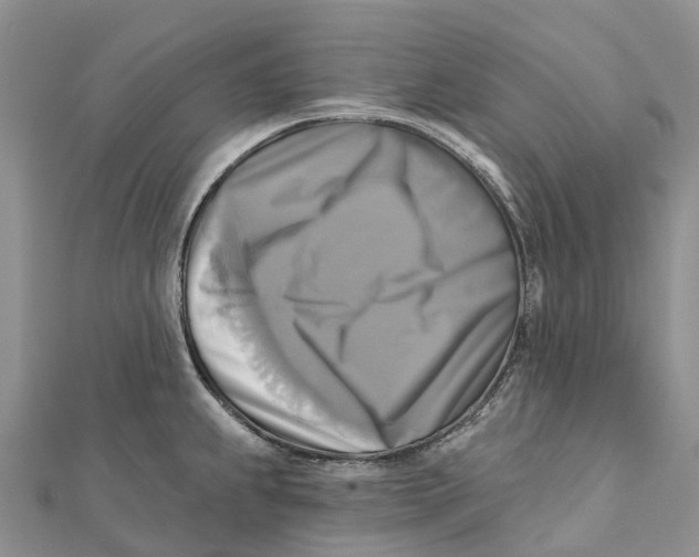 X0000112101239200909011118