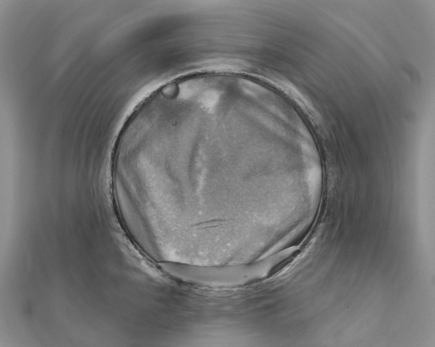 X0000112101240200909011118