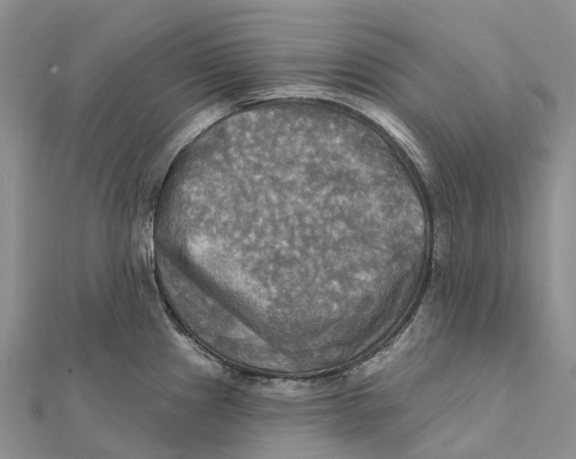 X0000112101241200909011118