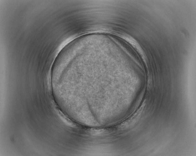 X0000112101242200909011118