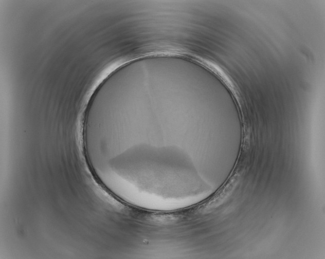 X0000112101243200909011118
