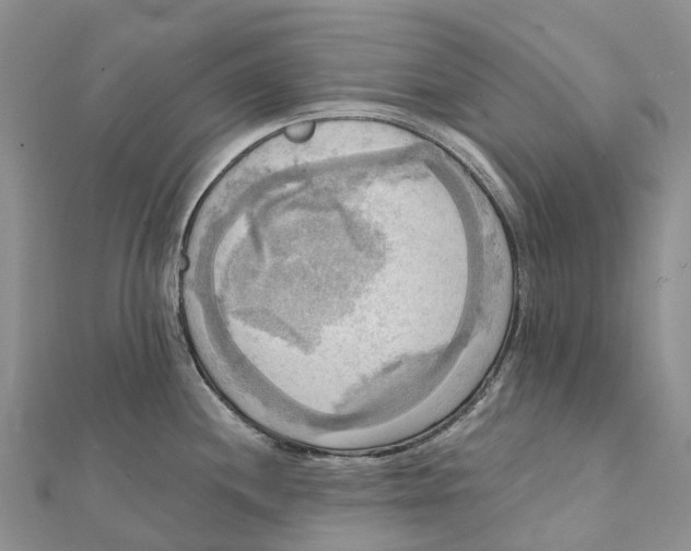 X0000112101244200909011118