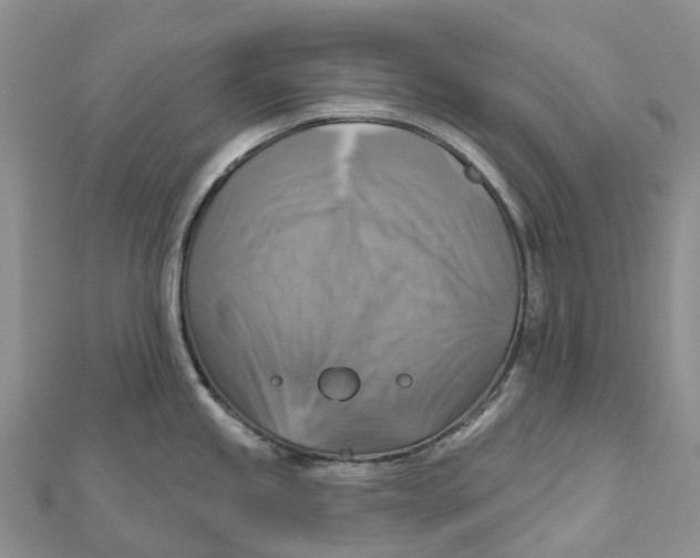 X0000112101245200909011118