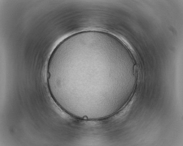 X0000112101246200909011118