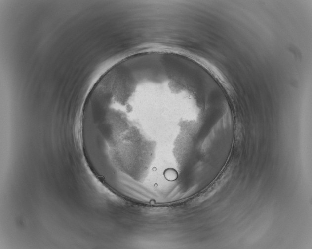 X0000112101247200909011118