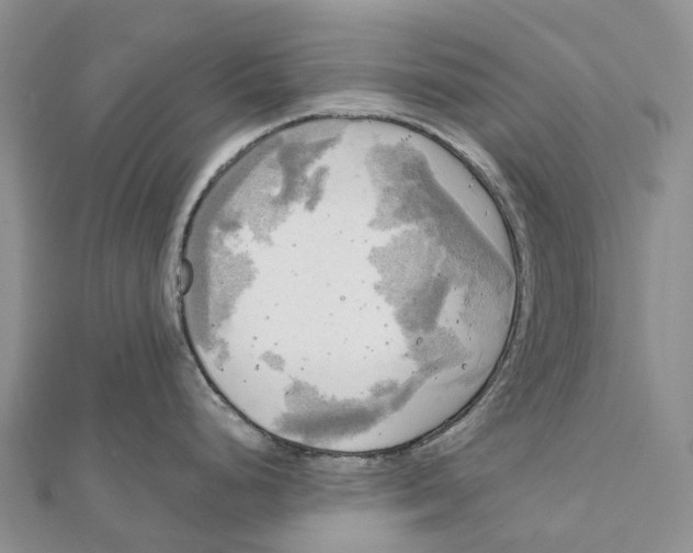 X0000112101248200909011118