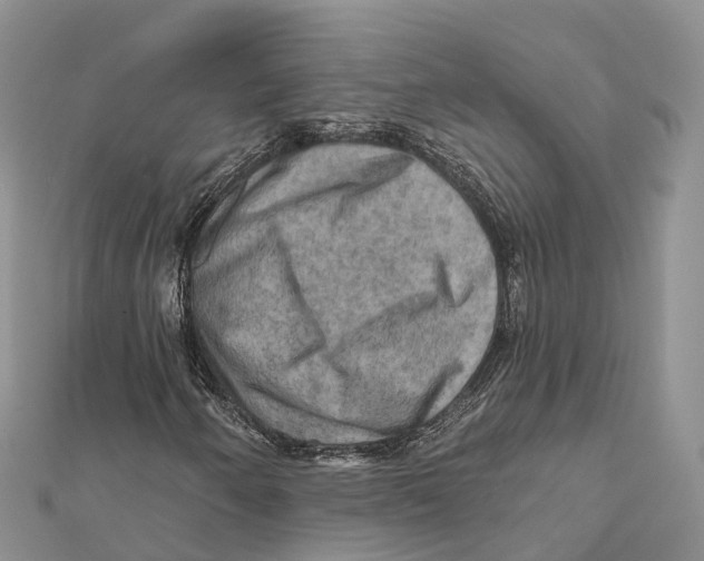 X0000112101250200909011117