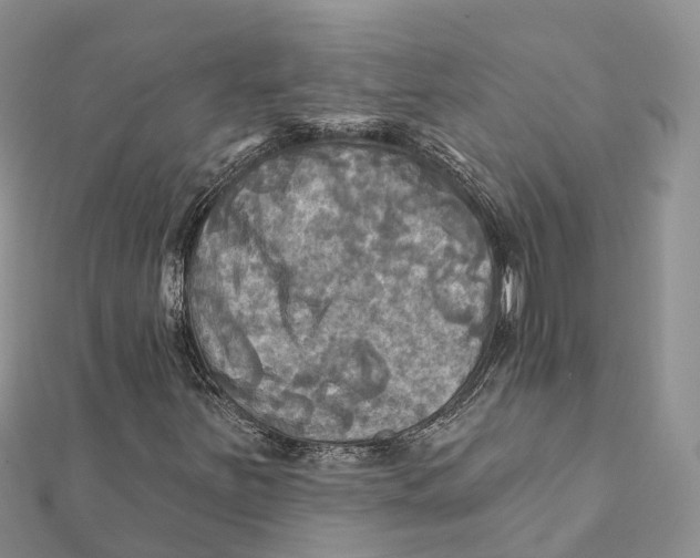 X0000112101251200909011117