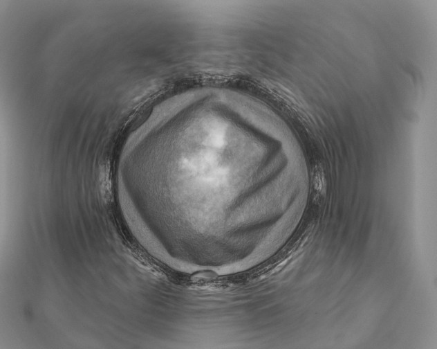 X0000112101252200909011117