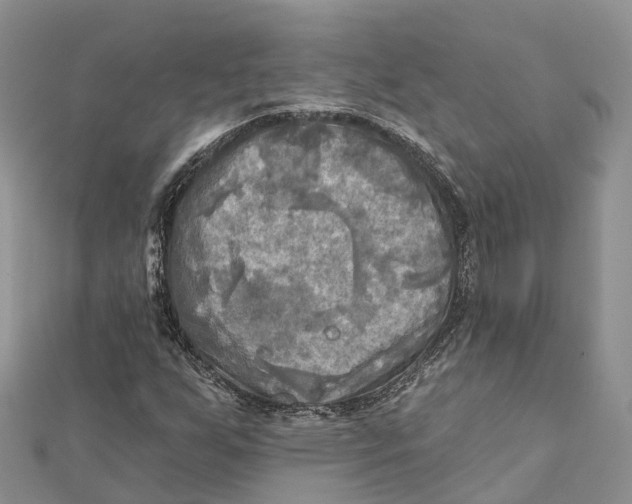 X0000112101255200909011117