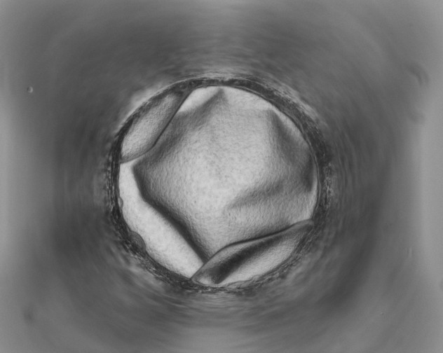 X0000112101256200909011117