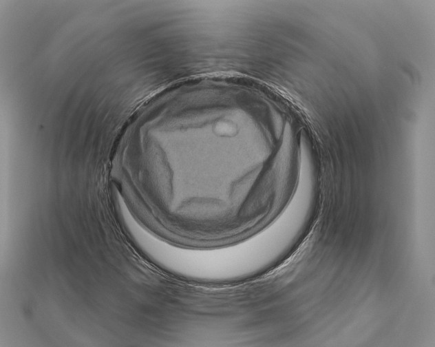 X0000112101257200909011117