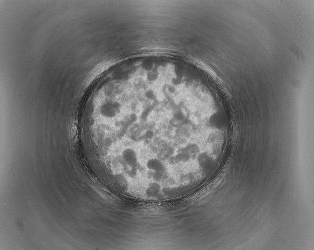 X0000112101259200909011117