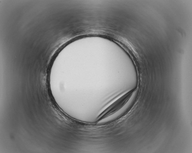 X0000112101260200909011117