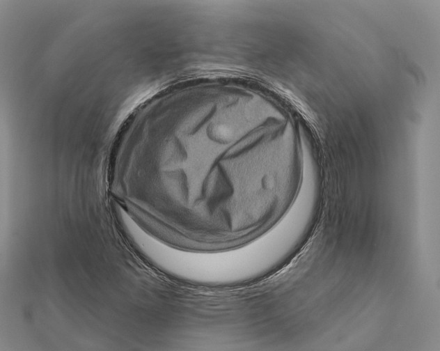X0000112101261200909011117