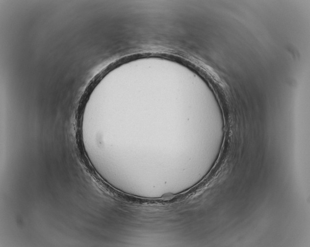 X0000112101264200909011117