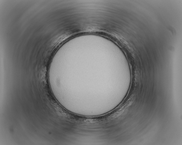 X0000112101265200909011117