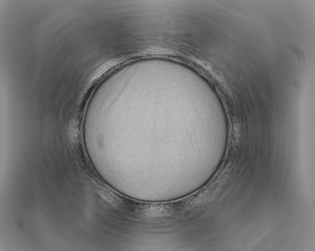X0000112101266200909011117