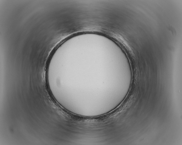 X0000112101268200909011117