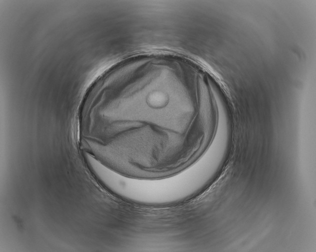 X0000112101269200909011117