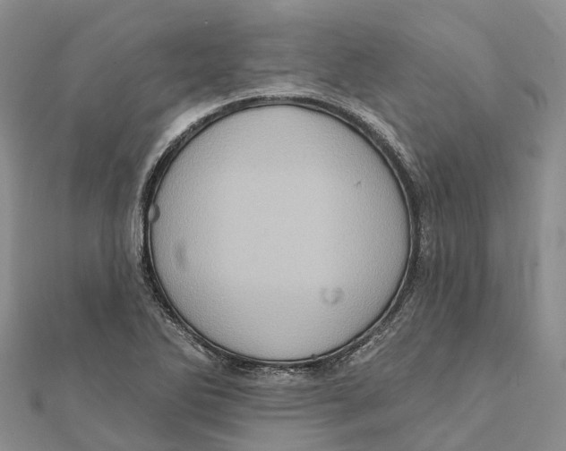 X0000112101270200909011117