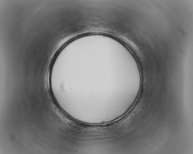 X0000112101272200909011117