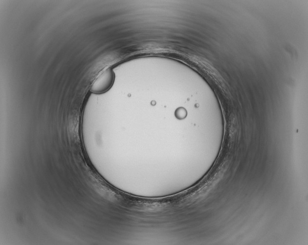 X0000112101273200909011117
