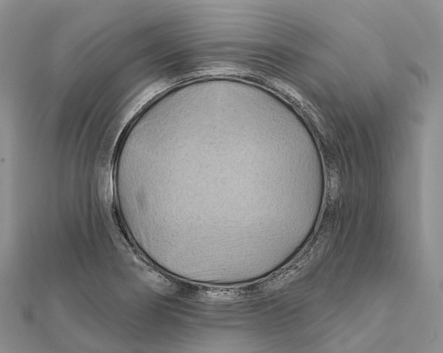 X0000112101274200909011117