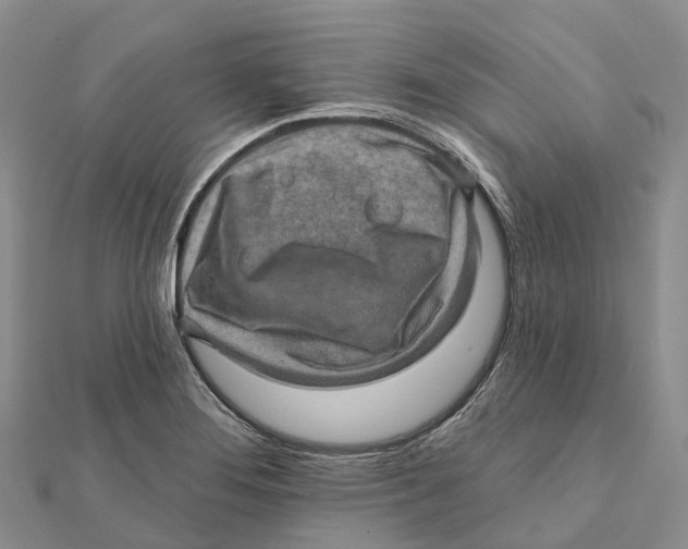 X0000112101276200909011117