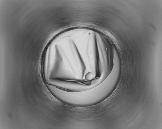 X0000112101280200909011117