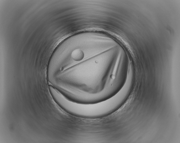 X0000112101281200909011117