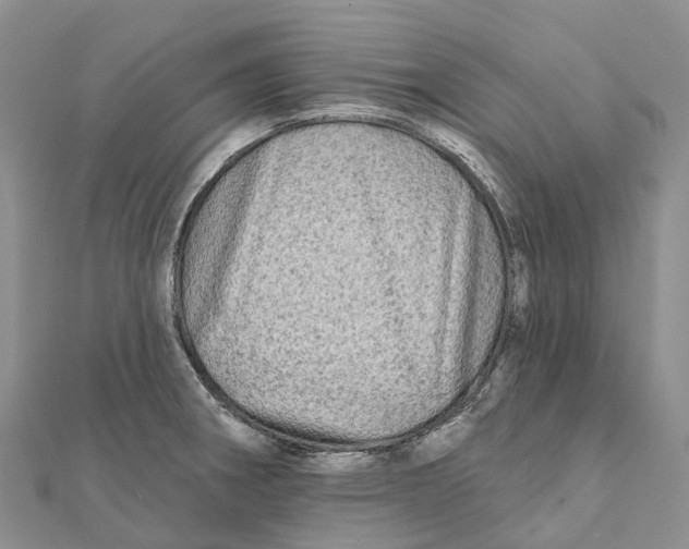 X0000112101282200909011117