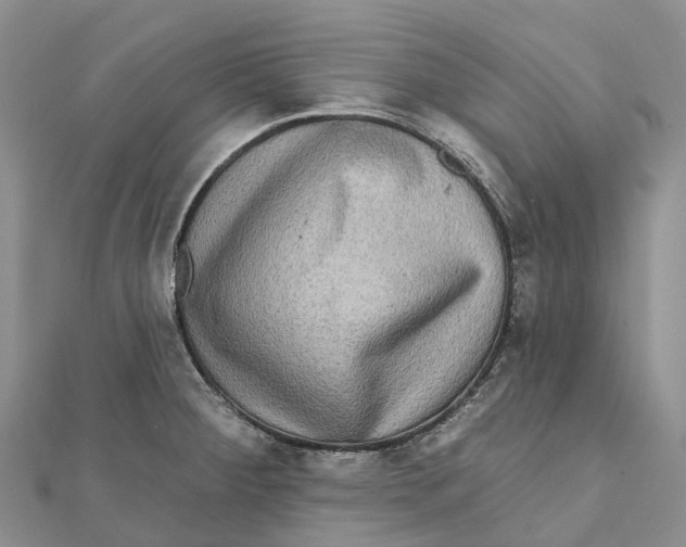 X0000112101284200909011117