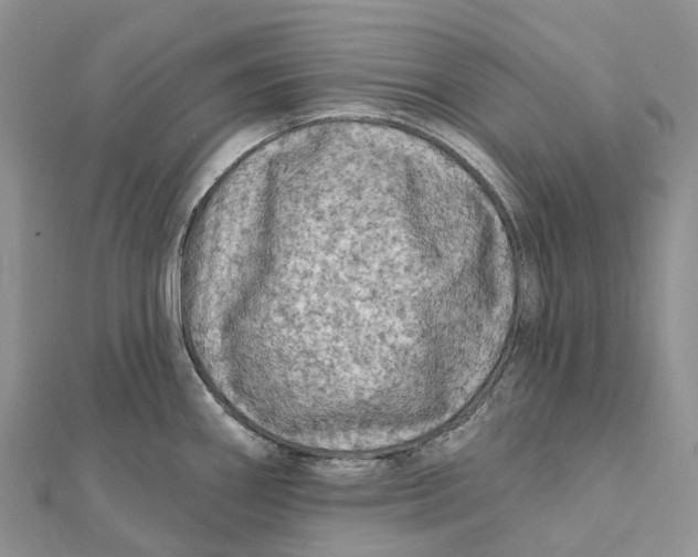 X0000112101290200909011117