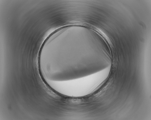 X0000112101291200909011117