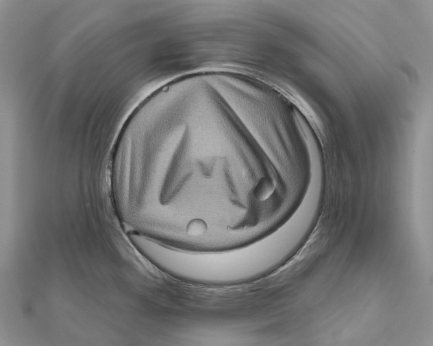X0000112101292200909011117