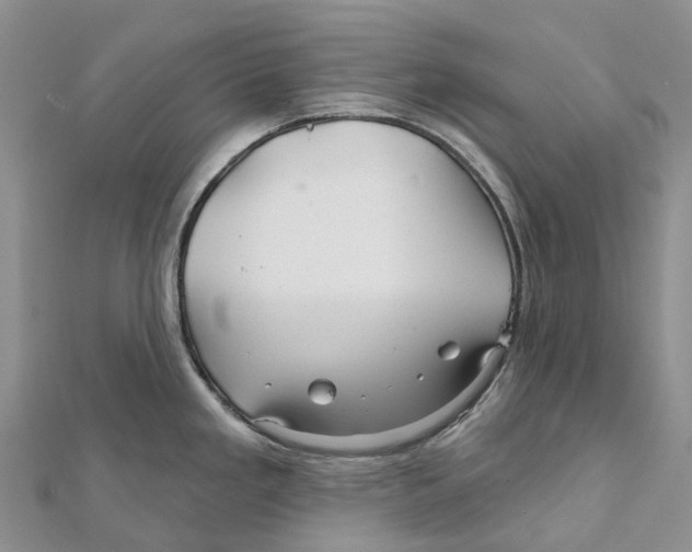 X0000112101293200909011117