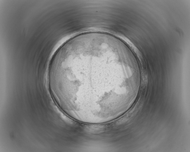 X0000112101294200909011117