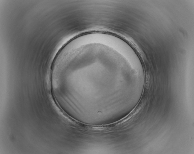 X0000112101295200909011117