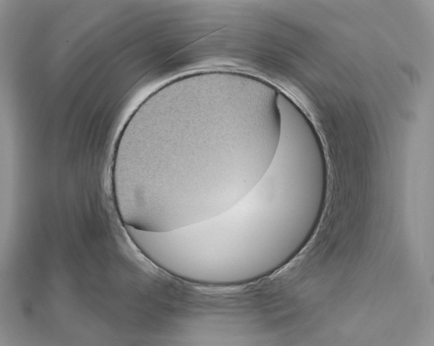 X0000112101296200909011117