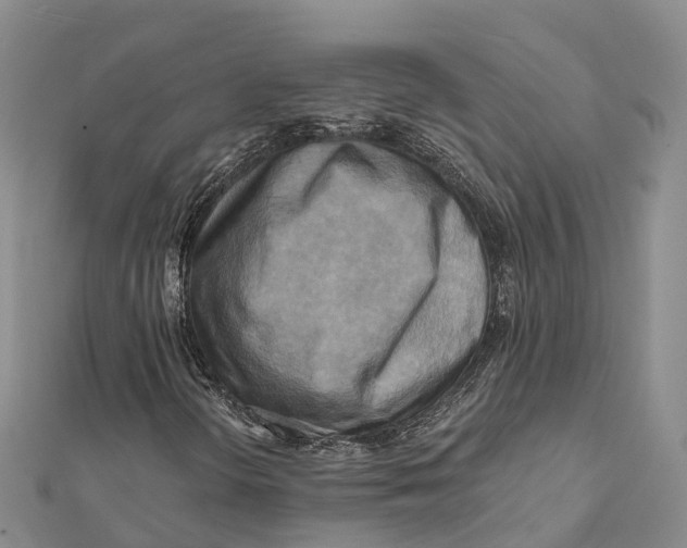 X0000112101298200909011116