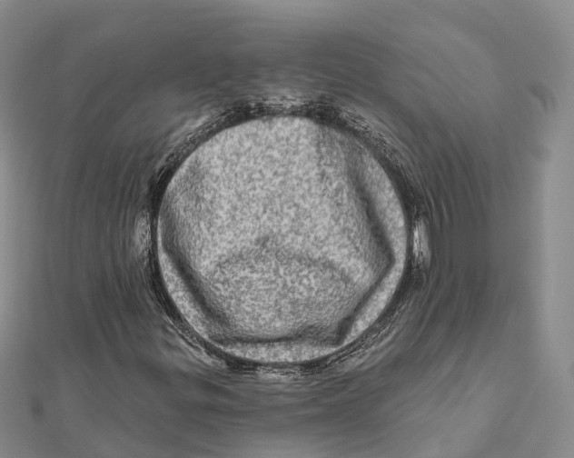 X0000112101299200909011116