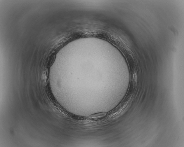 X0000112101300200909011116