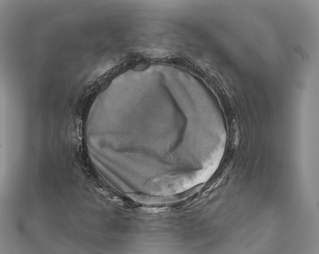 X0000112101301200909011116