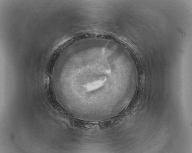 X0000112101302200909011116