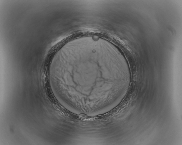 X0000112101303200909011116